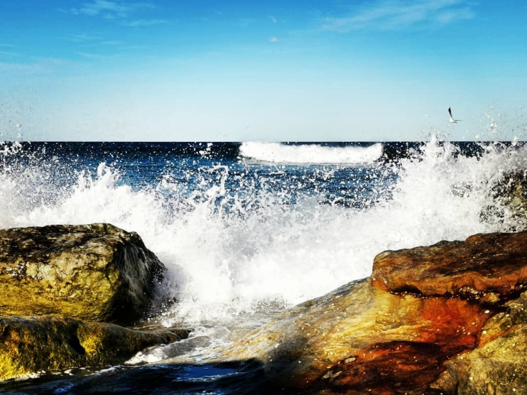 [Reisetagebuch Australien] Heute aus: Bondi Beach