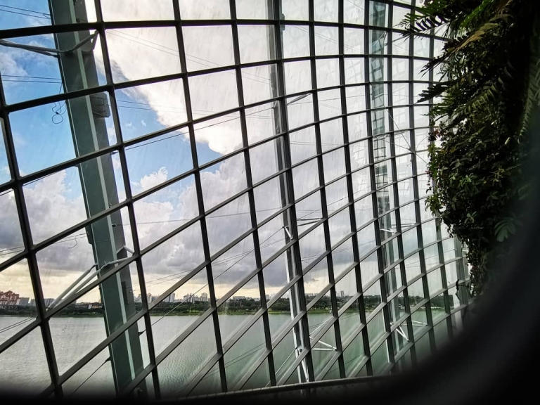 [Reisetagebuch Australien] Heute aus: Cloud Forest At Gardens By the Bay