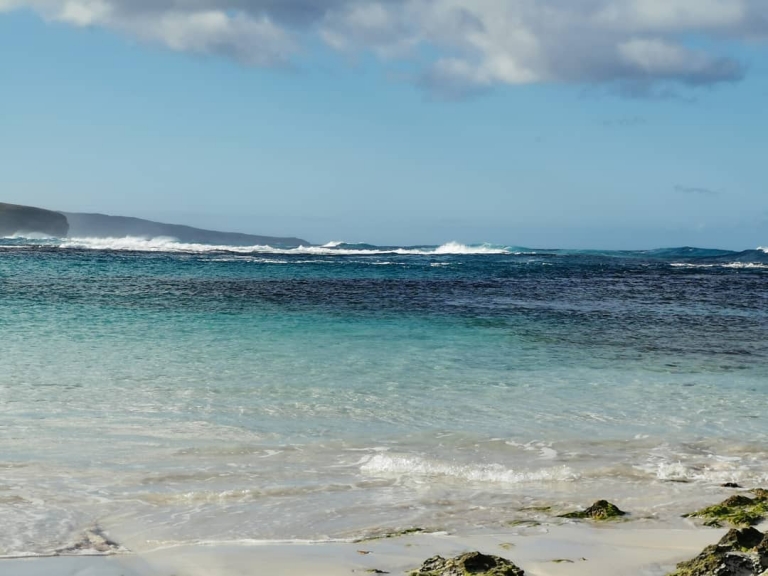 [Reisetagebuch Australien] Heute aus: Hanson Bay Foreshore