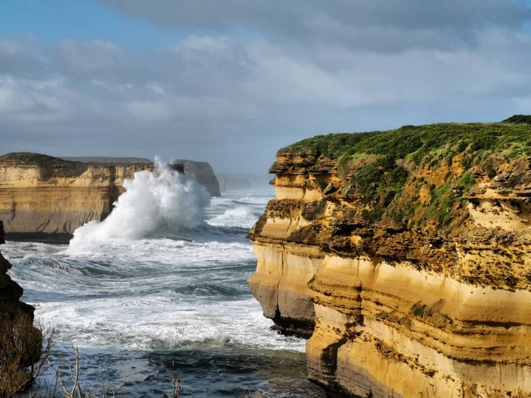 [Reisetagebuch Australien] Heute aus: Mutton Bird Island (ö i Australien, Victoria)