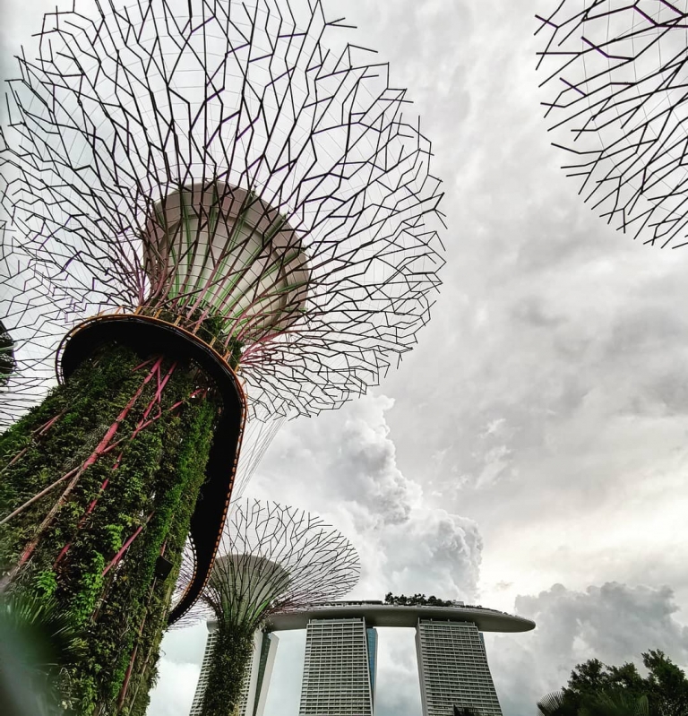 [Reisetagebuch Australien] Heute aus: Supertree Grove, Gardens by the Bay