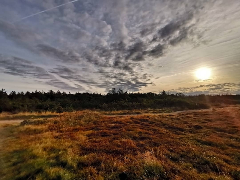 [Zur Zeit in]: Bjerregård, Ringkobing, Denmark