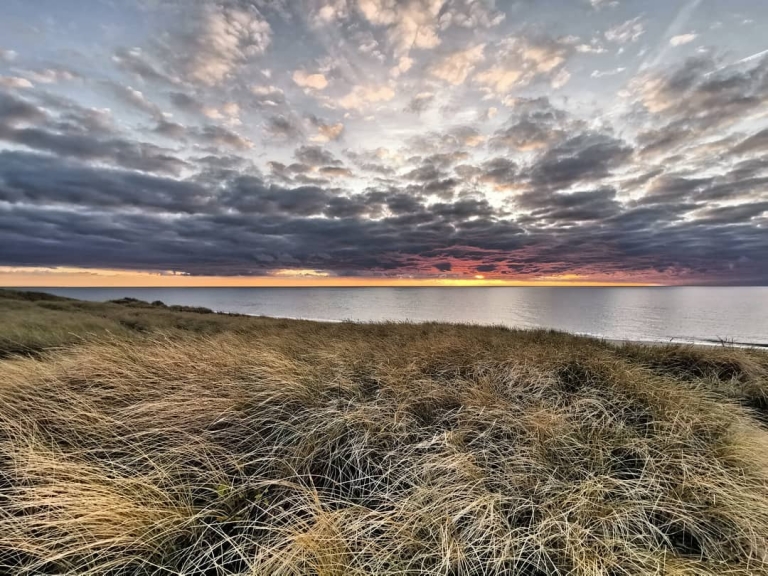 [Zur Zeit in]: Bjerregård, Ringkobing, Denmark