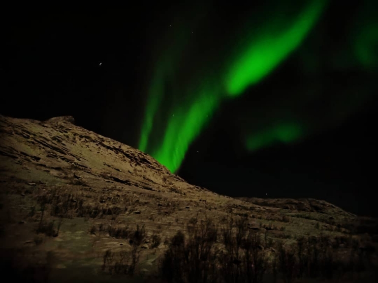 [Zur Zeit in]: Kvaløya