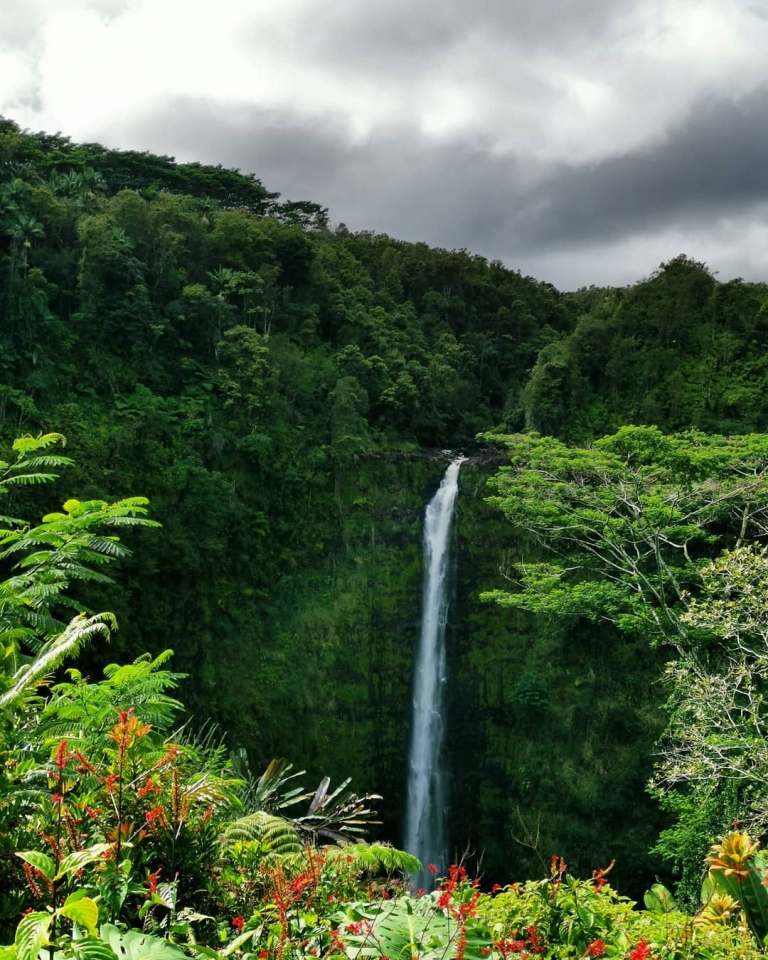 [Reisetagebuch Hawaii] Heute aus: Akaka Falls State Park