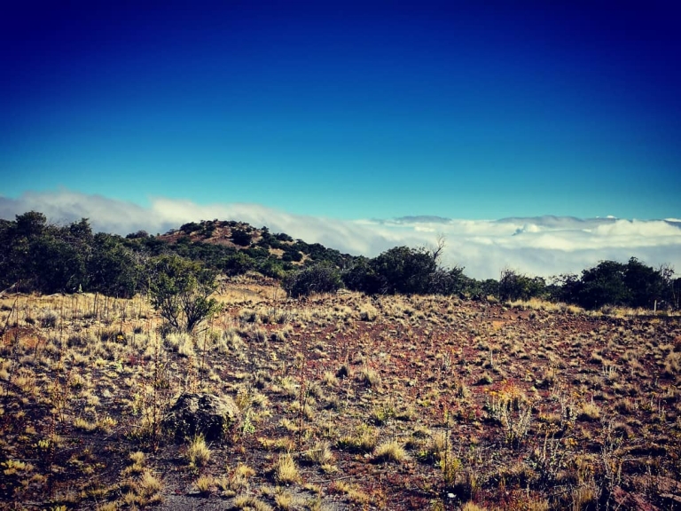 [Reisetagebuch Hawaii] Heute aus: Mauna Kea