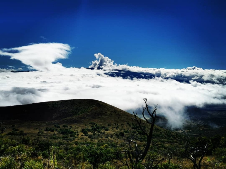 [Reisetagebuch Hawaii] Heute aus: Mauna Kea