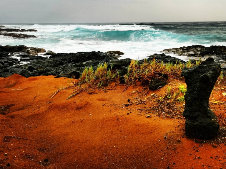 [Reisetagebuch Hawaii] Heute aus: South Point, Big Island, Hawaii