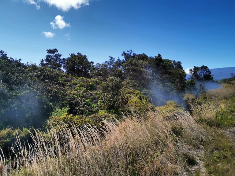 [Reisetagebuch Hawaii] Heute aus: Steaming Bluff Overlook