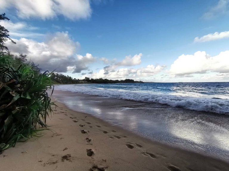 [Reisetagebuch Hawaii] Heute aus: Kaipapa‘u Beach