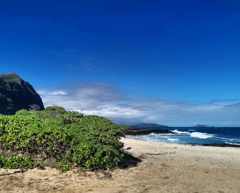 [Reisetagebuch Hawaii] Heute aus: Makapu’u Beach, Oa’Hu, Hawai’I.