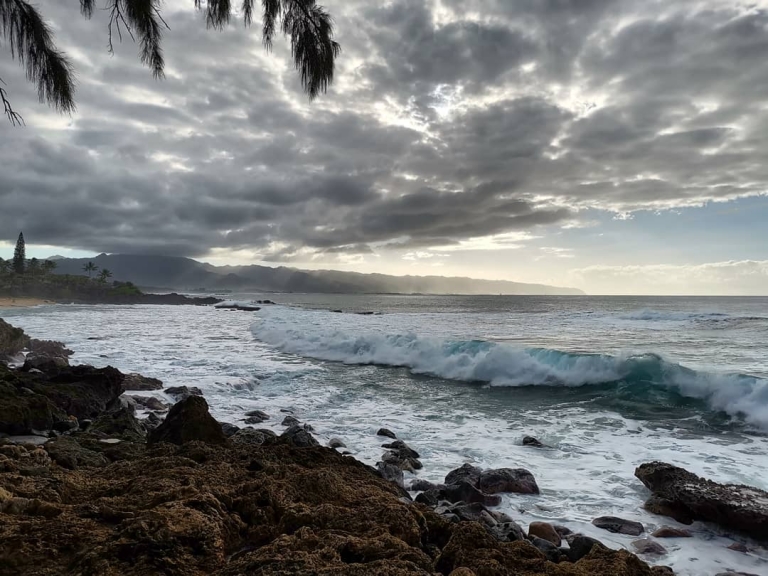 [Reisetagebuch Hawaii] Heute aus: Shark’s Cove, North Shore, Oahu