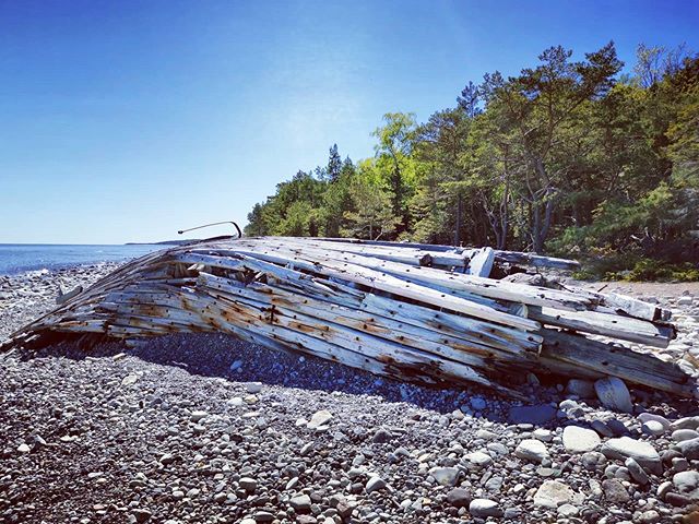 [Zur Zeit in]: Trollskogen, Grankulla, Öland