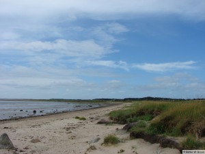 Insel Föhr - bei Nieblum          