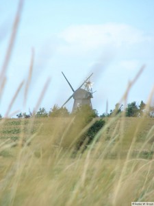 Insel Föhr - zwischen Goting und Nieblum          