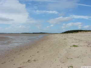 Insel Föhr - bei Goting   