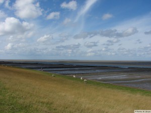 Insel Föhr - nördlicher Strand   