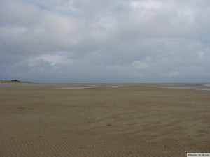 Insel Föhr - bei Nieblum   