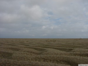 Insel Föhr - bei Nieblum   