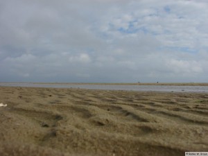 Insel Föhr - bei Nieblum   