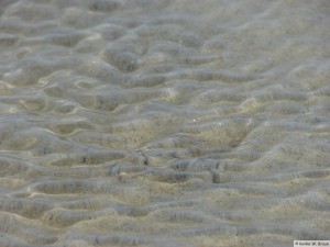 Insel Föhr - bei Nieblum  