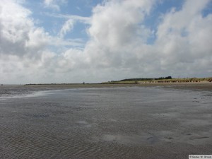 Insel Föhr - bei Nieblum  