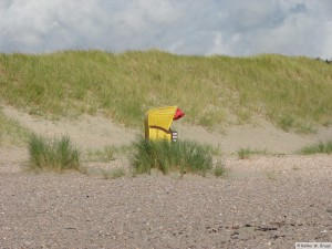 Insel Föhr - nahe Goting Kliff  