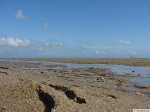 Insel Föhr - nahe Goting Kliff  