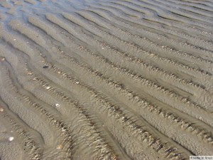 Insel Föhr - bei Nieblum  