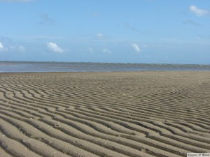 Insel Föhr - bei Nieblum  