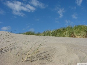 Insel Föhr - bei Nieblum  