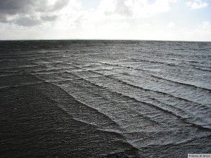 Insel Föhr - nahe Goting Kliff  