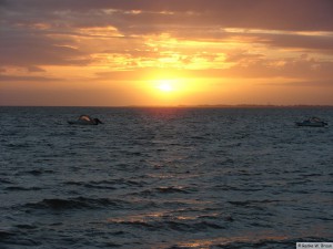 Insel Föhr - Utersum  