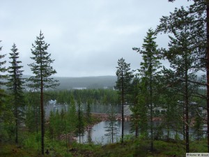 Dalarna/Björnpark Grönklitt  