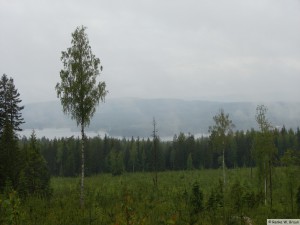 Dalarna/Skuggarvet    