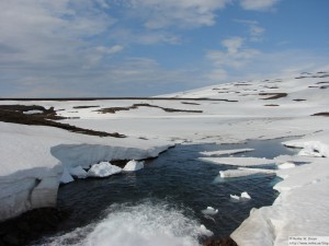 Fjarðarheiði      