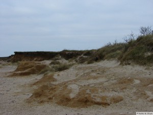 Insel Föhr/Hedehusum    