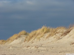 Föhr / Utersum    