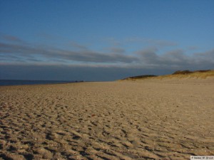 Föhr / Utersum    