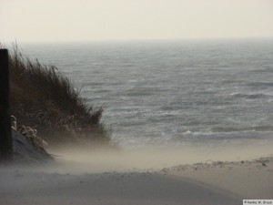 Föhr / Nieblum   