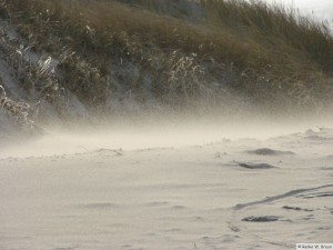 Föhr / Nieblum   