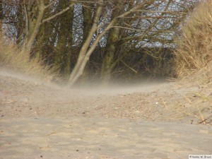 Föhr / Nieblum   