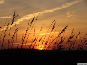 Föhr / Midlum   