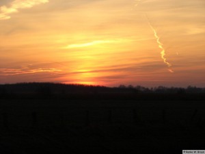 Föhr / Midlum   