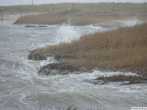 Föhr - zw. Goting - Borgsum   