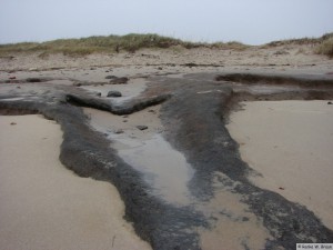 Föhr - zw. Goting - Borgsum   