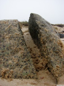 Föhr - zw. Goting - Borgsum   