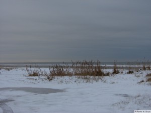 winter_2010_foehrDSC00740  