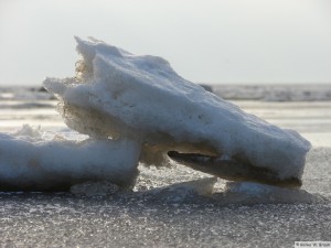 https://www.renke.se/blog/fotoarchiv/winter-2010-insel-foehr/