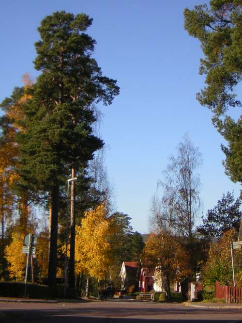 17/10/2007 Falun (Boisenburg/Hästberg/Lugnetområdet)